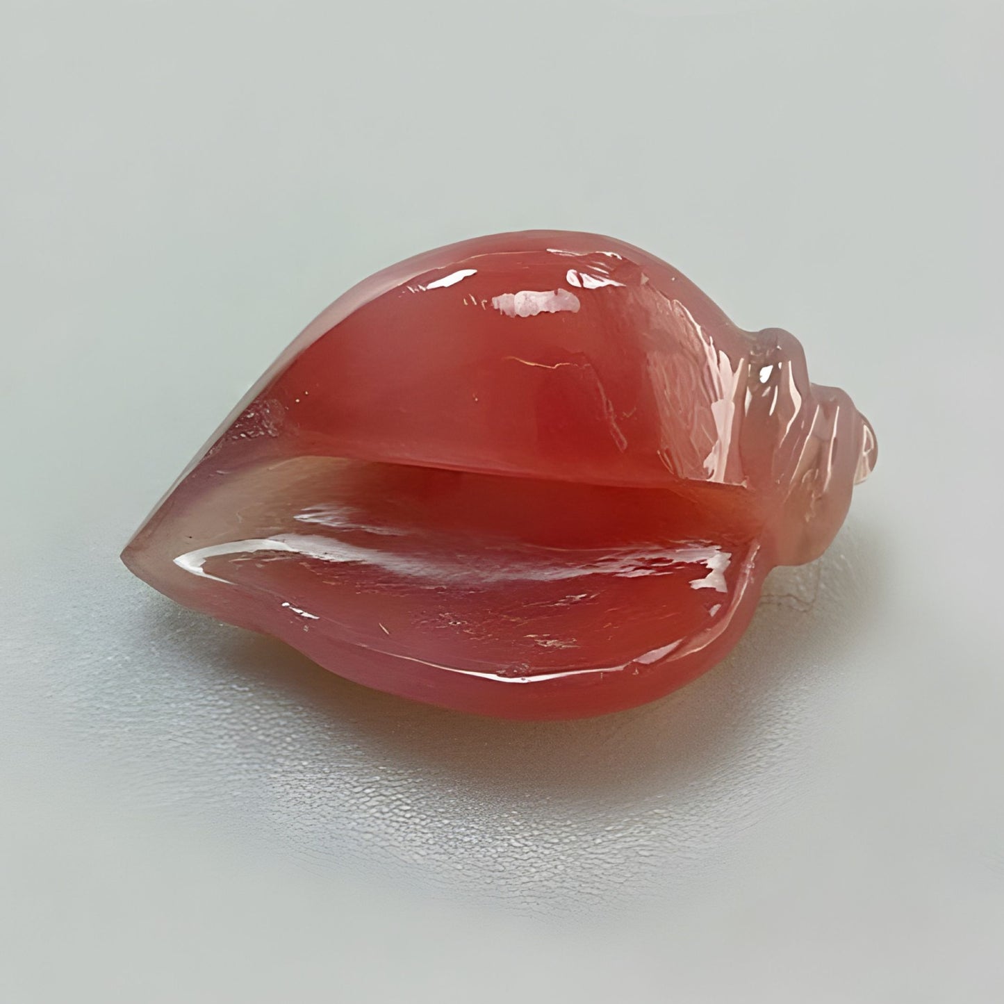 16.70cts Agate Gemstone Carving Natural Untreated Hand Carved Sea Shell