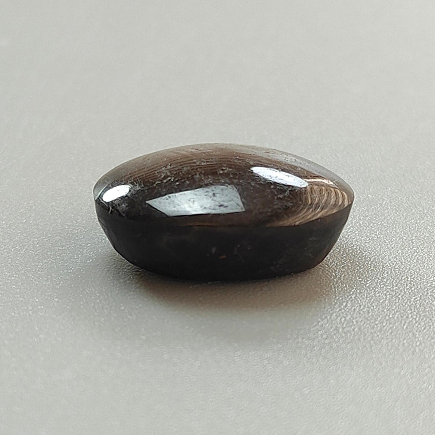 Star Sapphire Gemstone Cabochon: 25.00cts Natural Untreated Golden Brown Chocolate 6Ray Star Sapphire Oval Shape 19*15mm 1pc For Jewelry