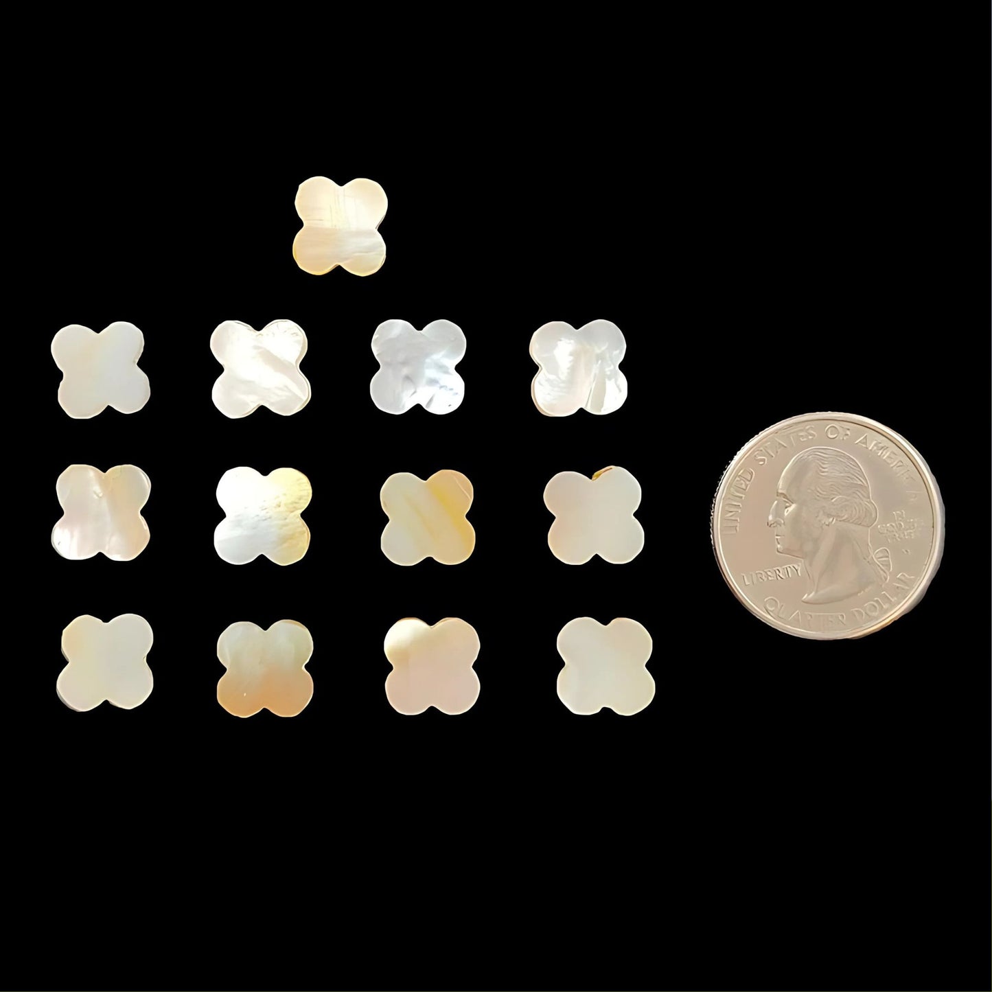 珍珠母贝花式雕刻