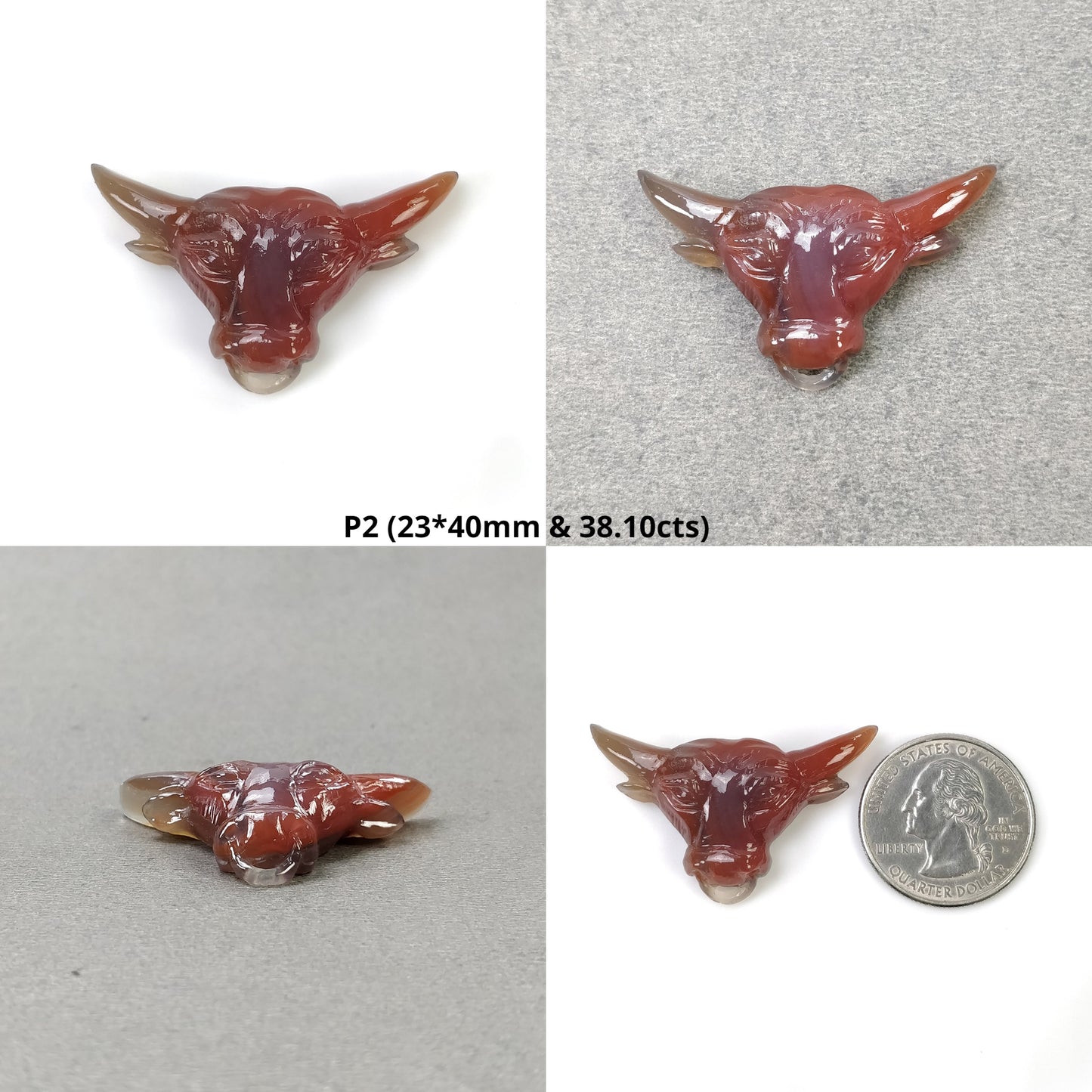 Bull's Face With Nose Ring