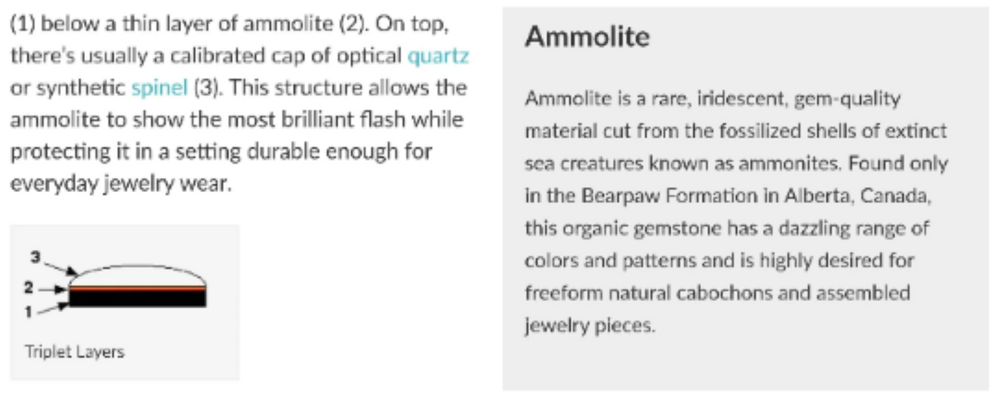 AMMOLITE Gemstone Cabochon : Natural Fossilized Shell Bi-Color Ammolite Uneven Shape Cabochon 14*20mm - 24*19mm 1pc