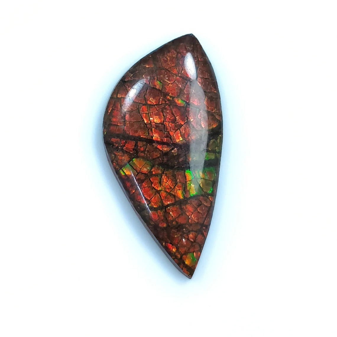 Ammolite Earring
