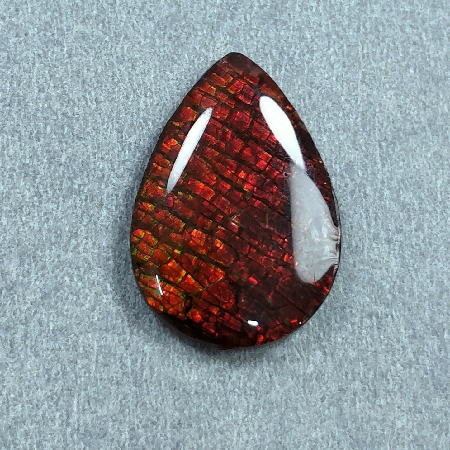 AMMOLITE Gemstone Cabochon : Natural Fossilized Shell Bi-Color Ammolite Pear Shape Cabochon 21*14.5mm - 22*16mm 1pc