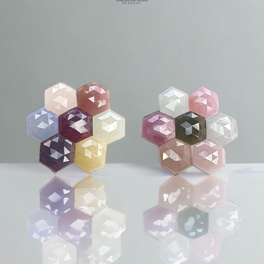 MULTI SAPPHIRE Gemstone Rose Cut : Natural Untreated Unheated Sapphire Bi-Color Hexagon Shape 14pcs Set