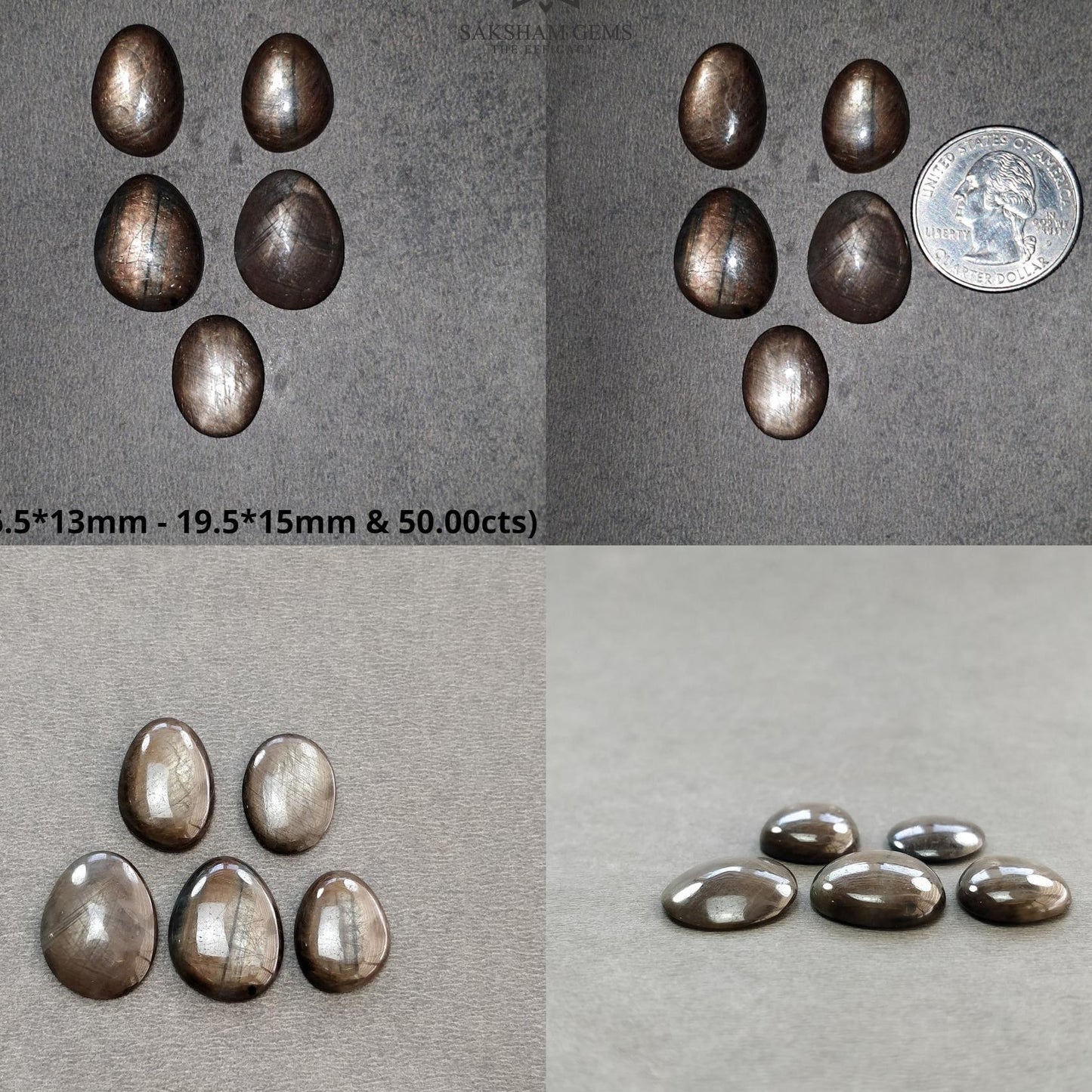 Star Sapphire Gemstone Cabochon : Natural Untreated Golden Brown Chocolate Sapphire 6Ray Star Oval And Egg Shape Sets
