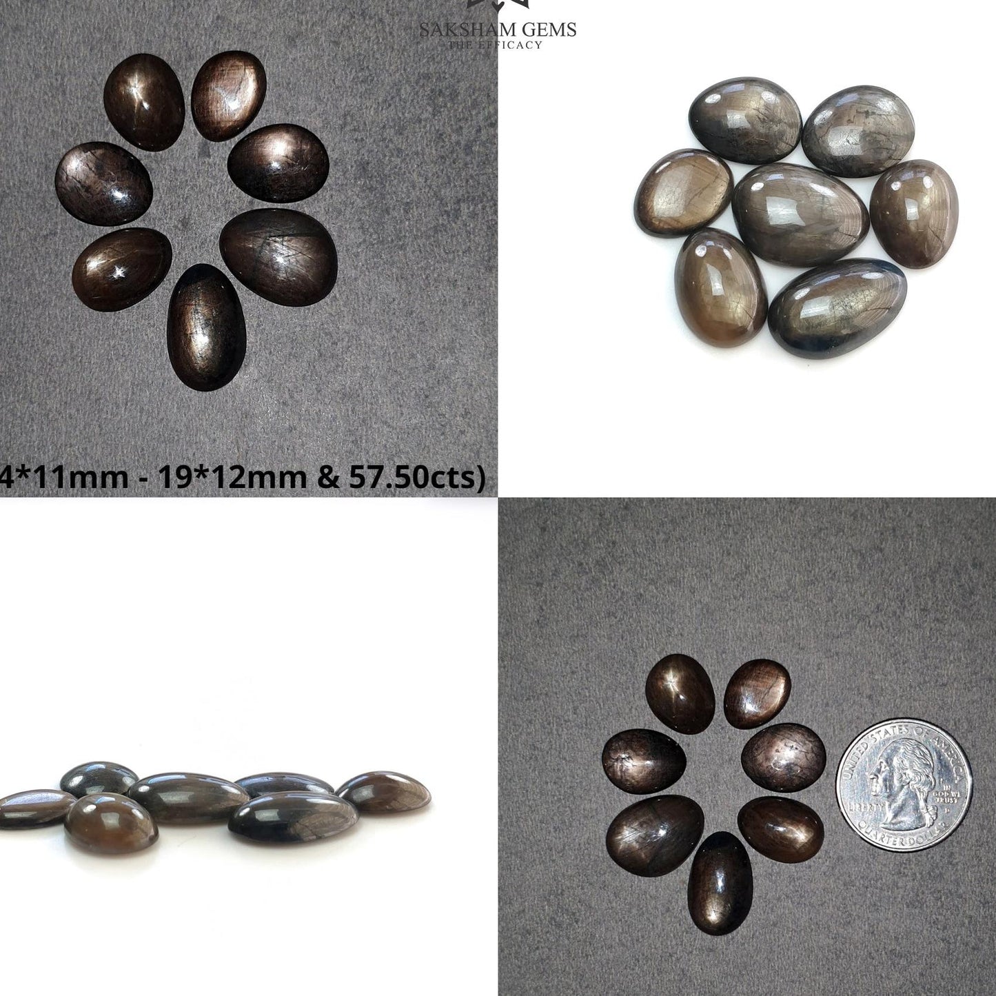Star Sapphire Gemstone Cabochon : Natural Untreated Golden Brown Chocolate Sapphire 6Ray Star Oval And Egg Shape Sets