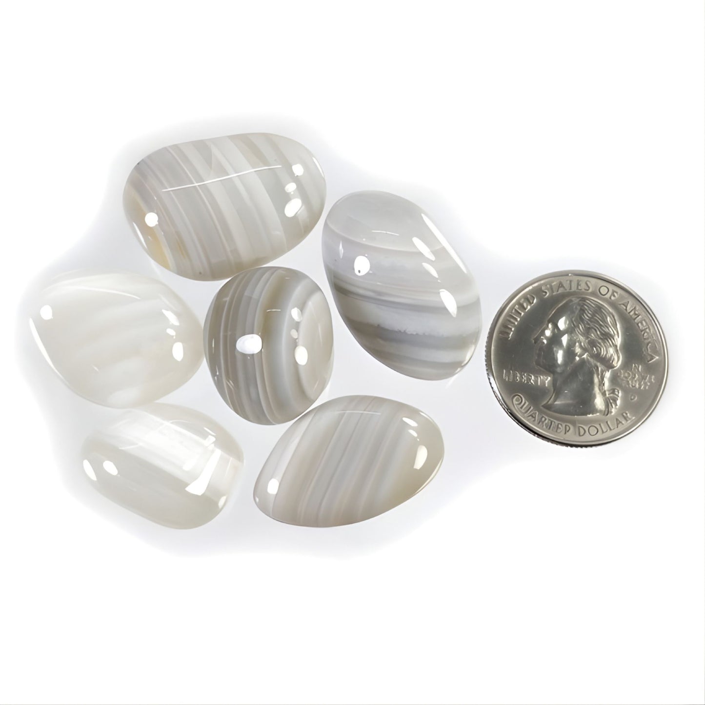 223.55cts Botswana Agate Gemstone Cabochon Bi-Color Natural Untreated Fancy 6pcs