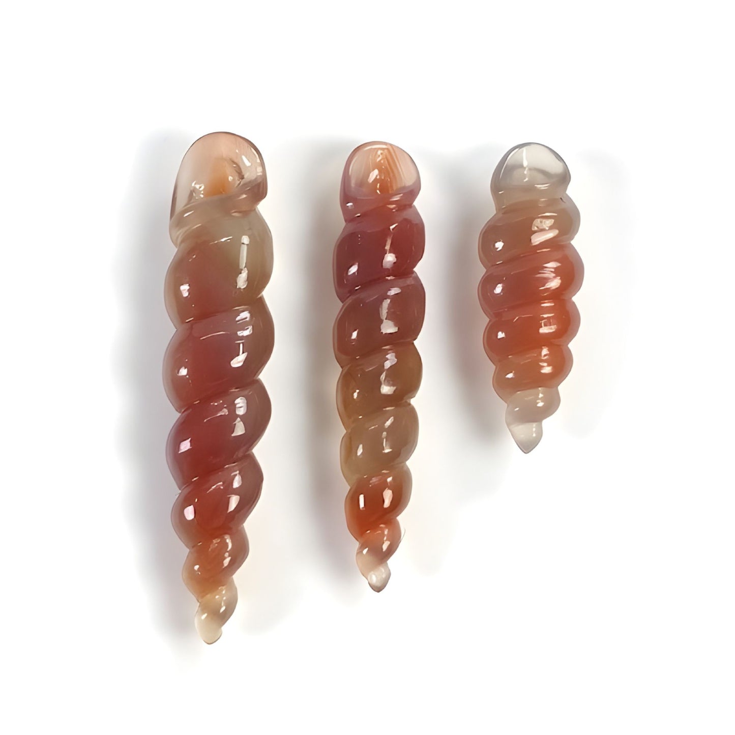 agate carving sea shell