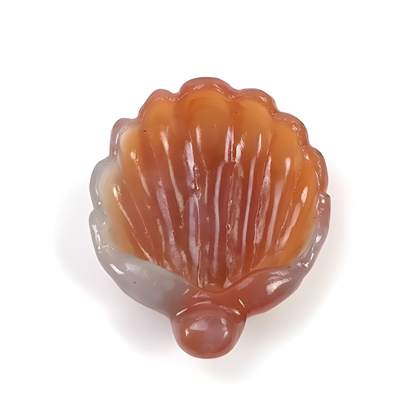 agate sea shell carving