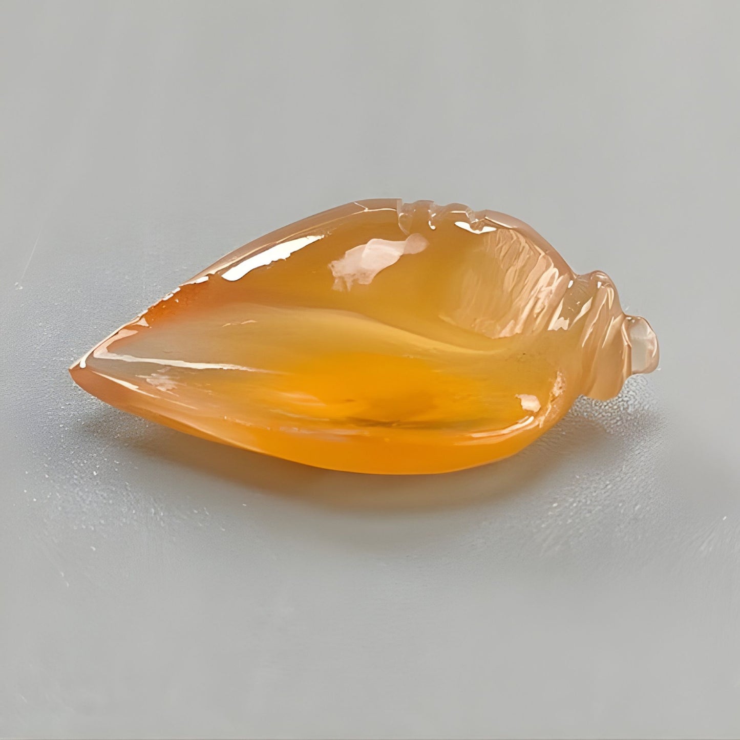 12.80cts Agate Gemstone Carving Natural Untreated Hand Carved Sea Shell