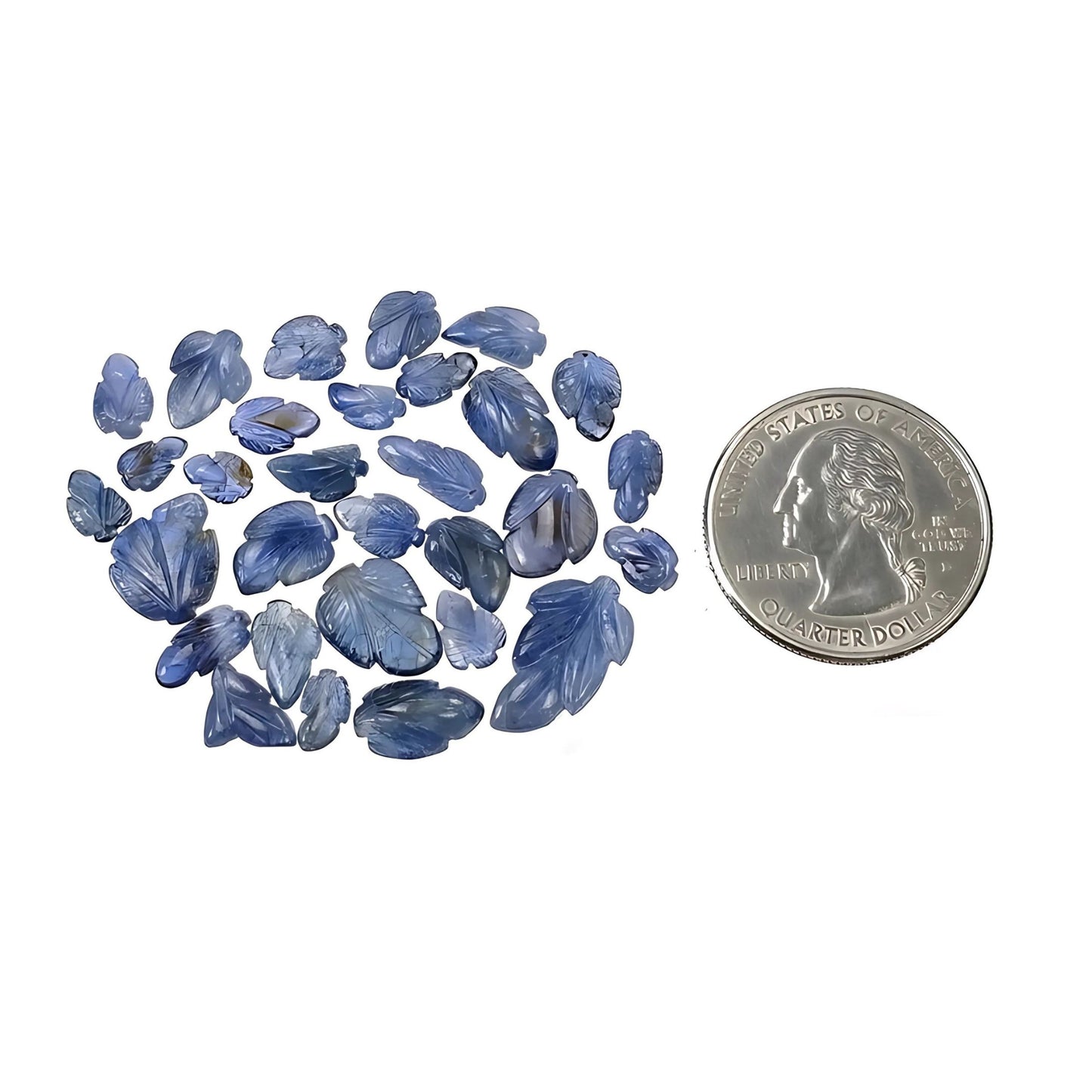 intaglio di foglie di zaffiro blu