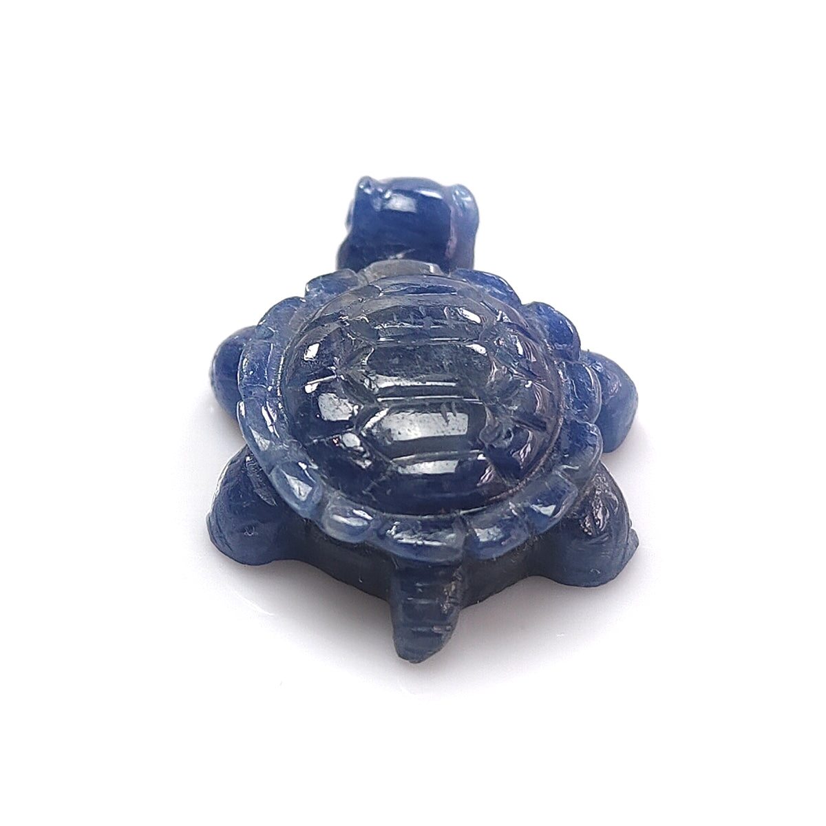 Tortuga de zafiro azul