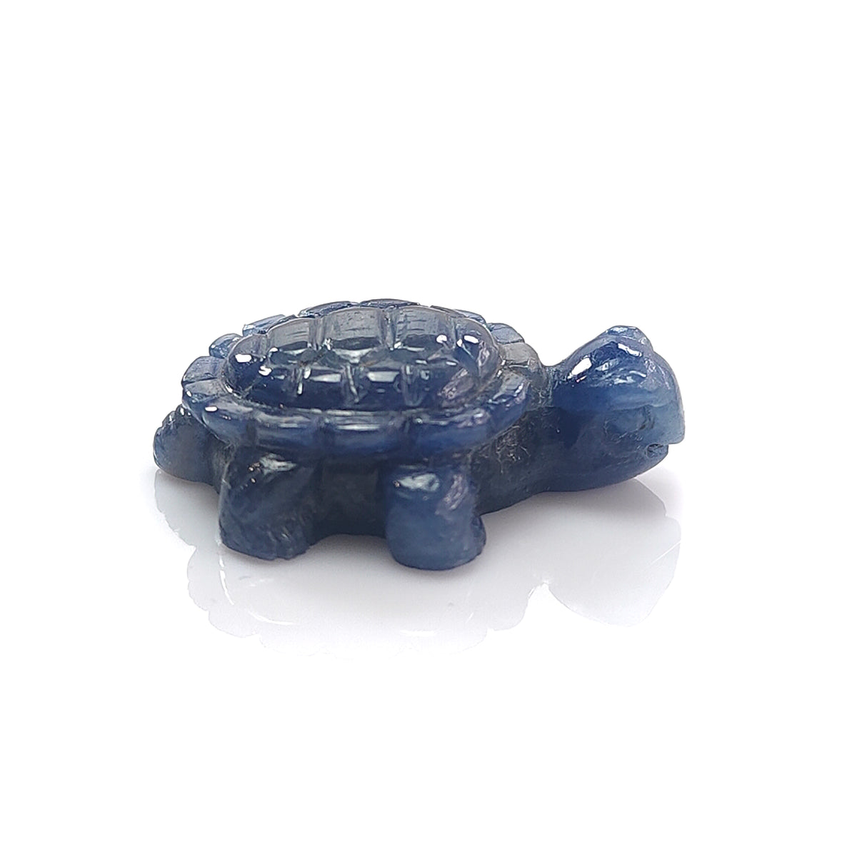 Blue Sapphire Tortoise