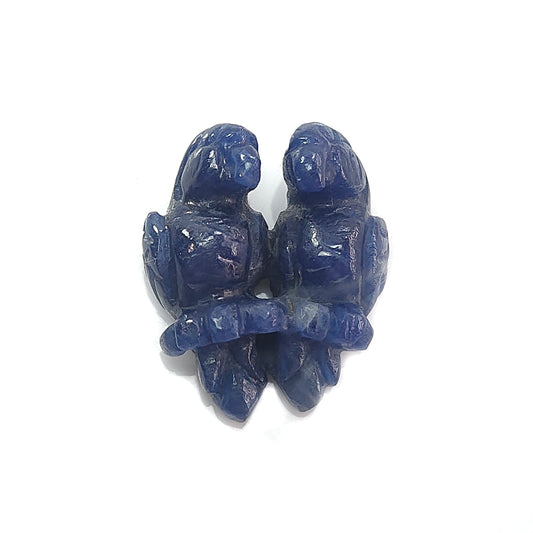 Blue Sapphire Parrot