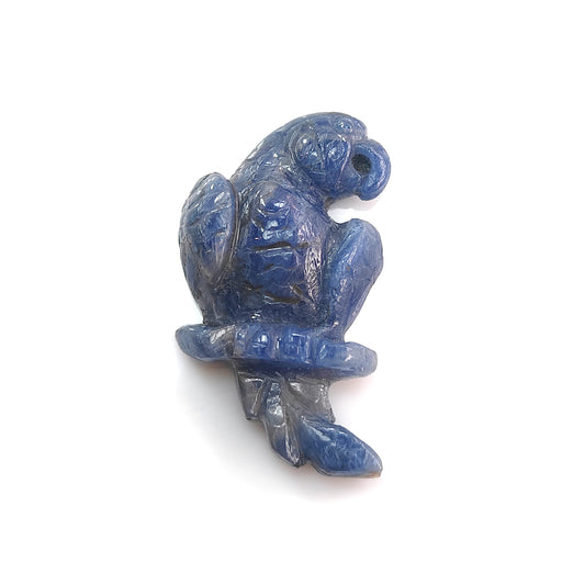 Blue Sapphire Parrot