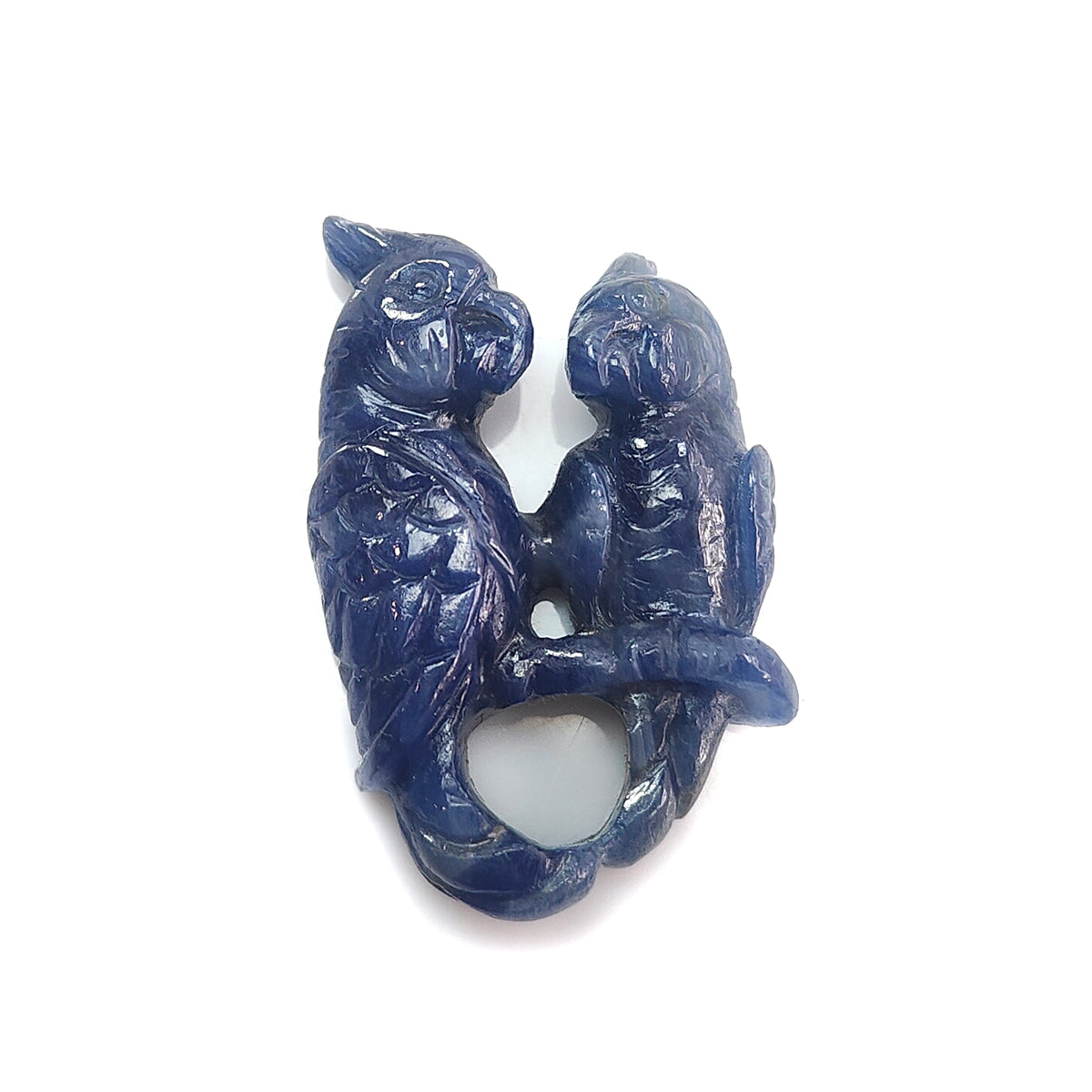 Blue Sapphire Parrot