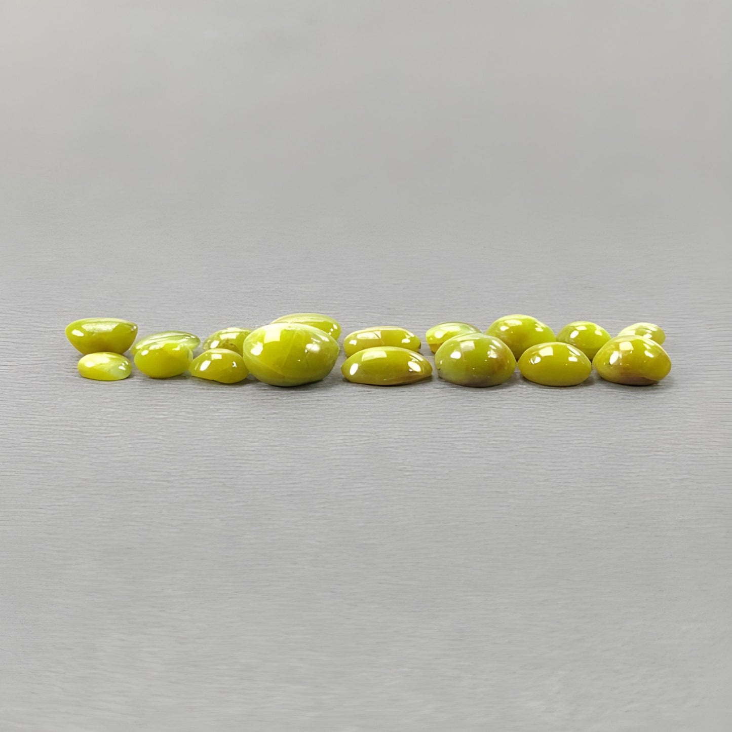 occhio di gatto africano