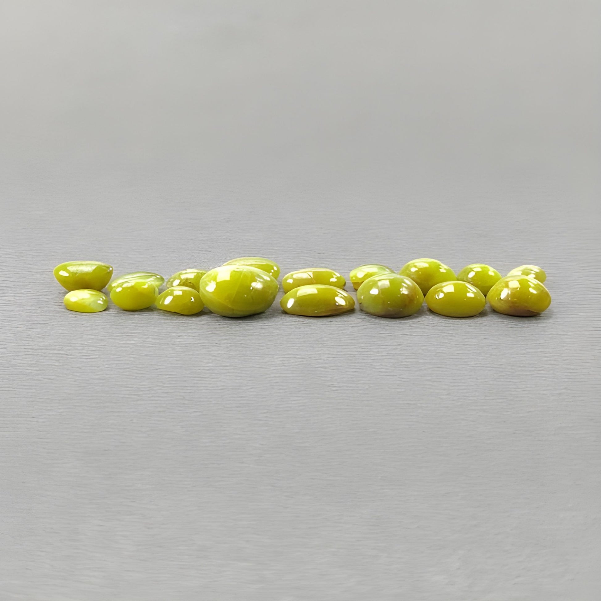 occhio di gatto africano