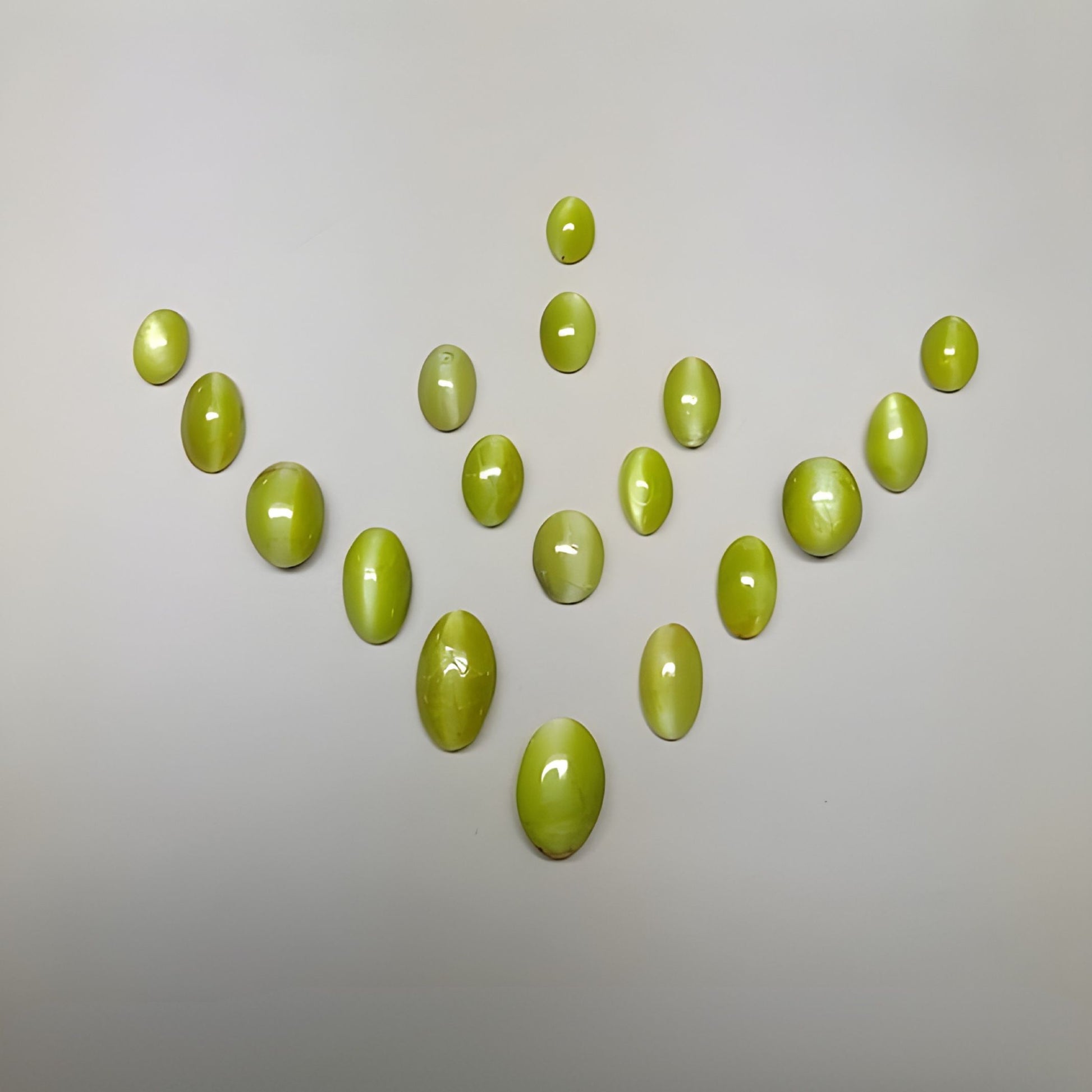 occhio di gatto africano