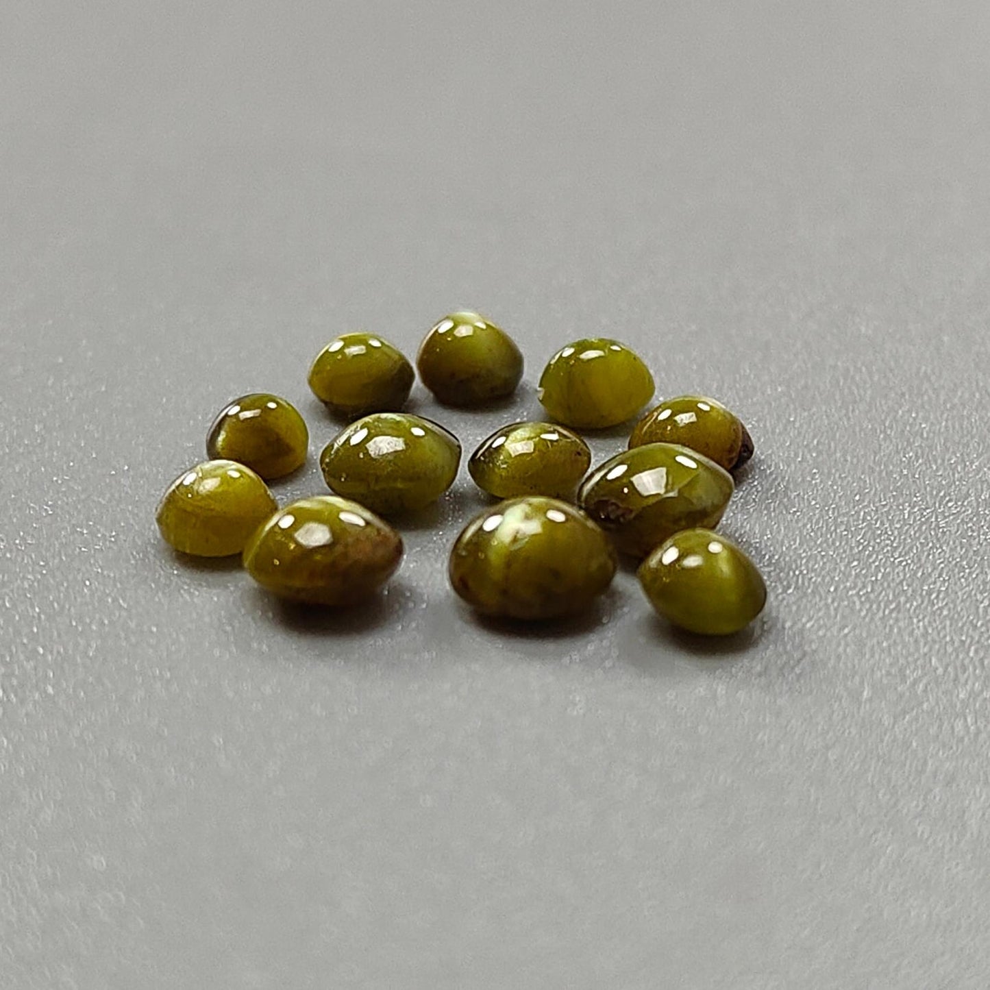 Chrysoberyl Cat's Eye Gemstone Cabochon: Natural Untreated Unheated Cat's Eye Round Shape 12pcs, 13pcs Lots For Jewelry June Birthstone