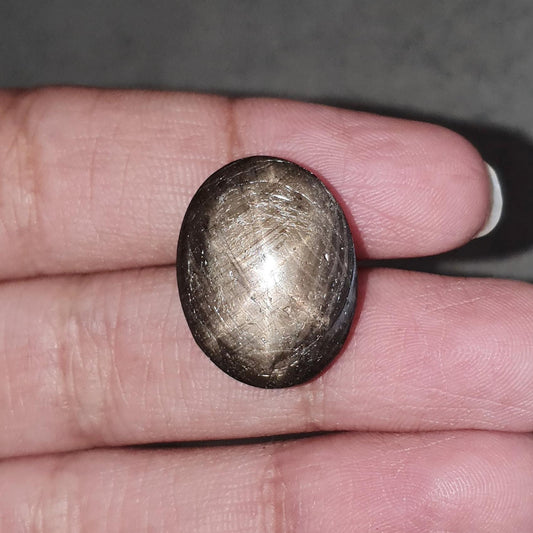 Star Sapphire Gemstone Cabochon: 25.00cts Natural Untreated Golden Brown Chocolate 6Ray Star Sapphire Oval Shape 19*15mm 1pc For Jewelry