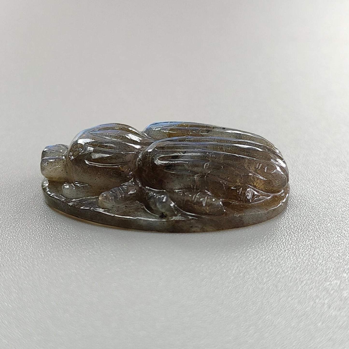 Labradorite Gemstone Carving : Natural Untreated Unheated Labradorite Hand Carved Scarabs 1pcs Set
