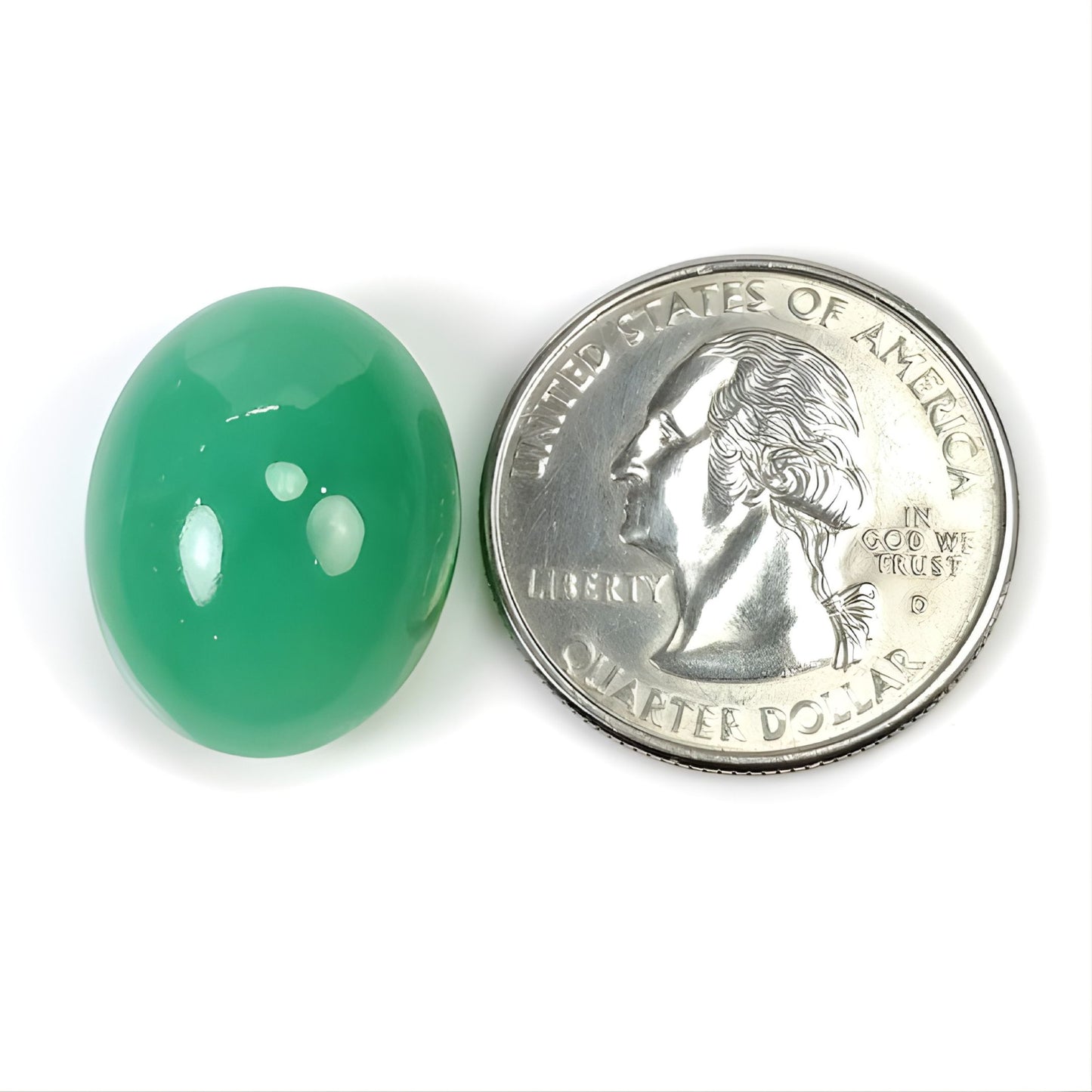 アフリカンクリソプレーズ