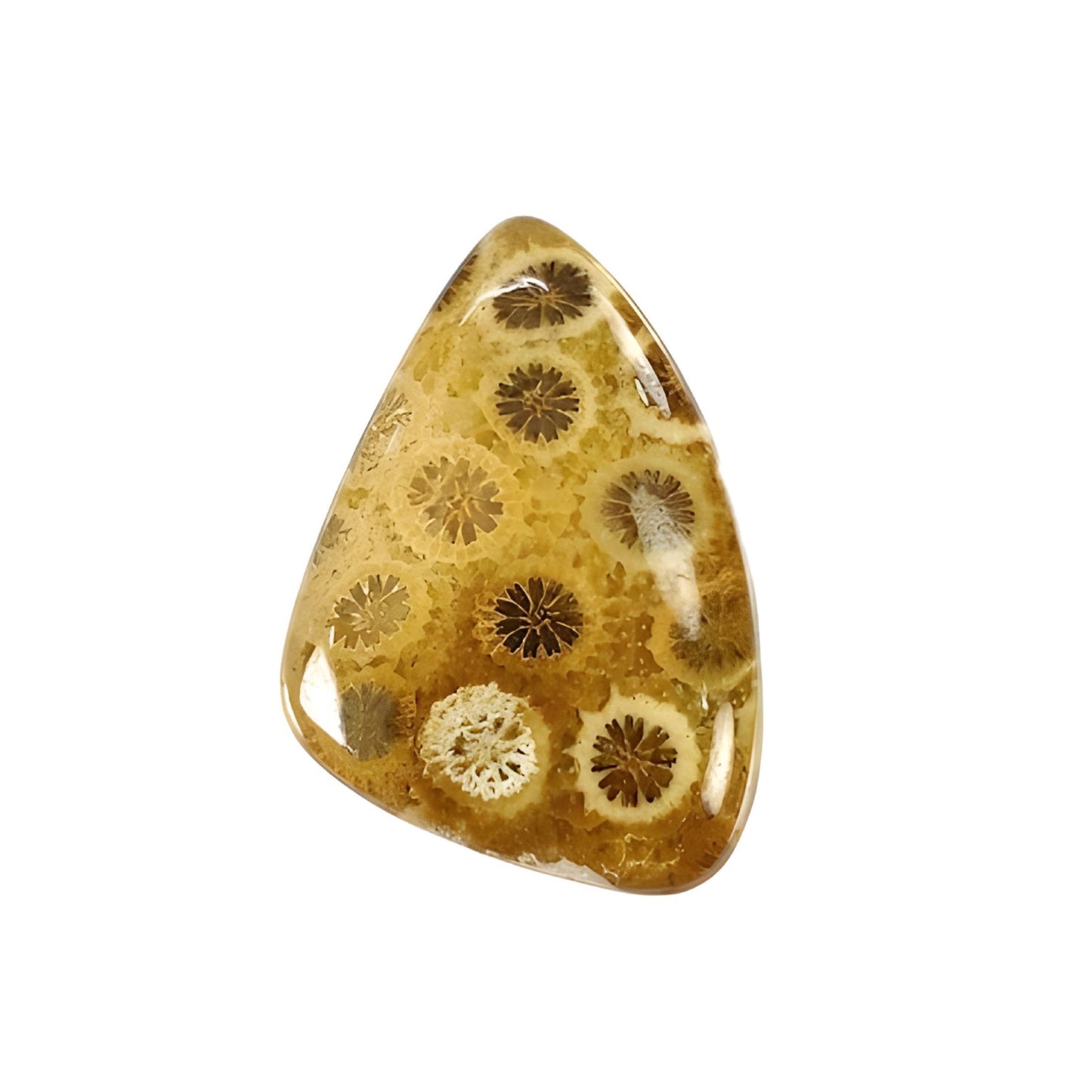 coral uneven shape cabochon