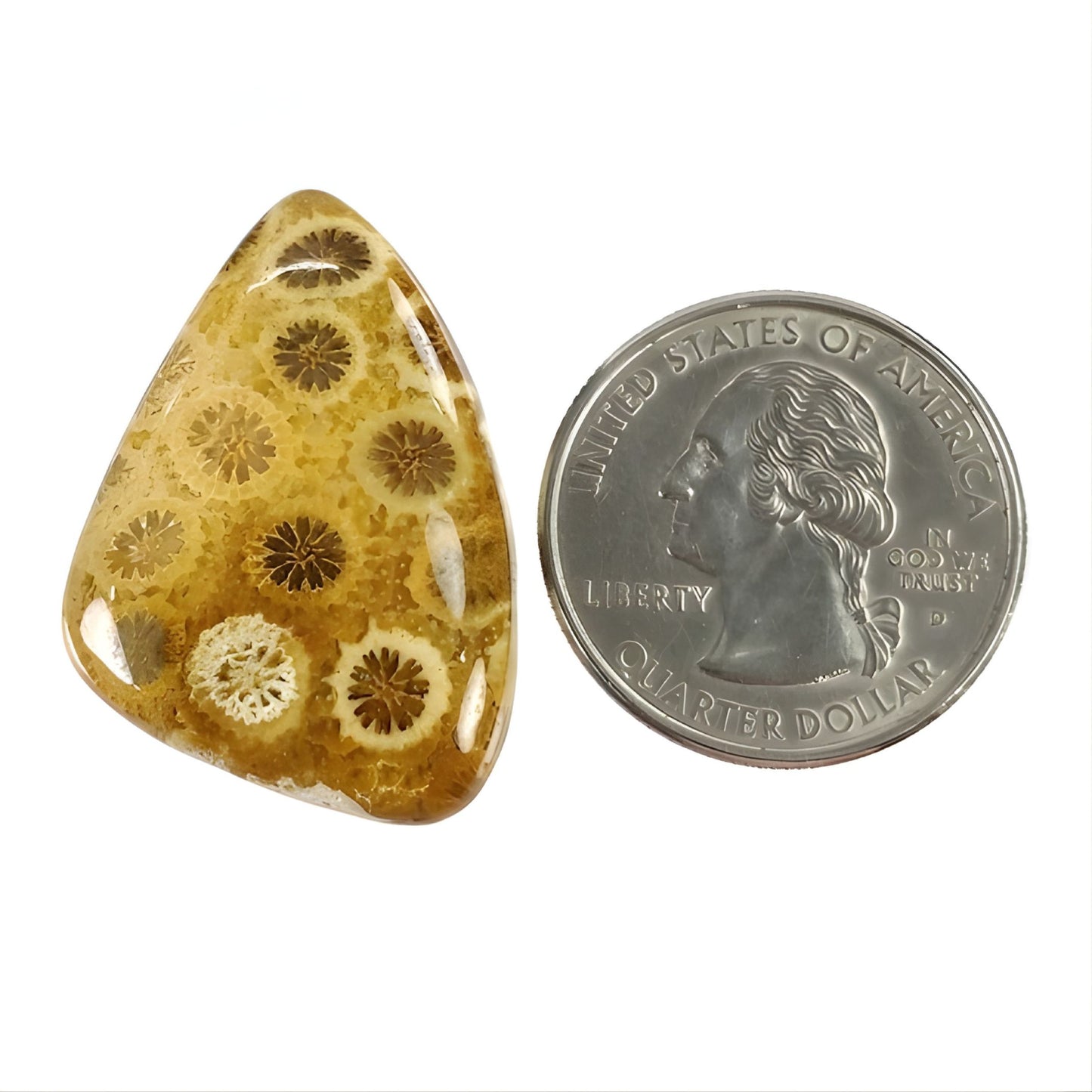 天然の未処理の宝石サンゴ