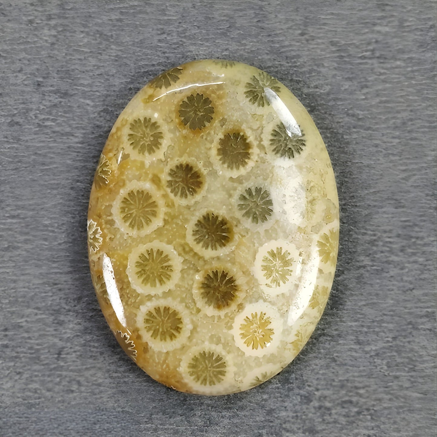 天然の未処理の宝石サンゴ