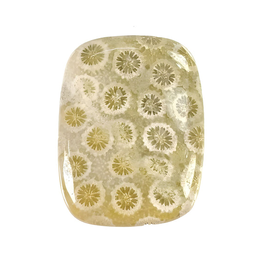 coral cabochon gemstone