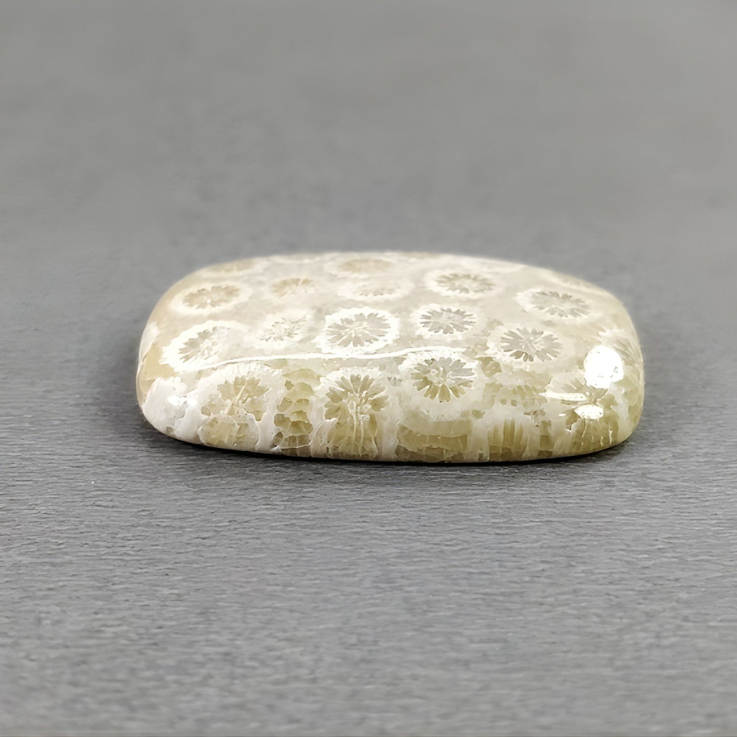 36.25cts Fossil Coral Gemstone Natural Untreated Cabochon Cushion Shape