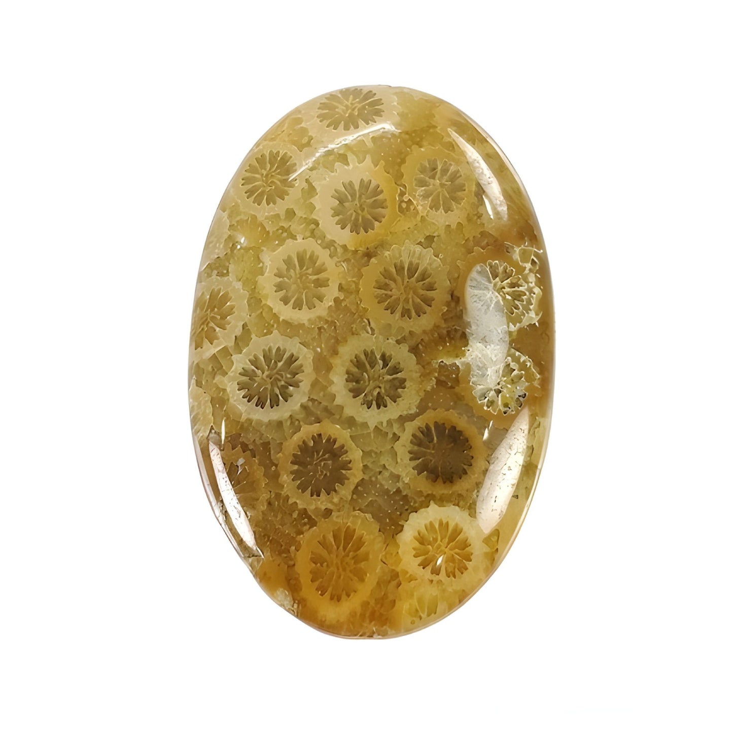 coral oval shape cabochon