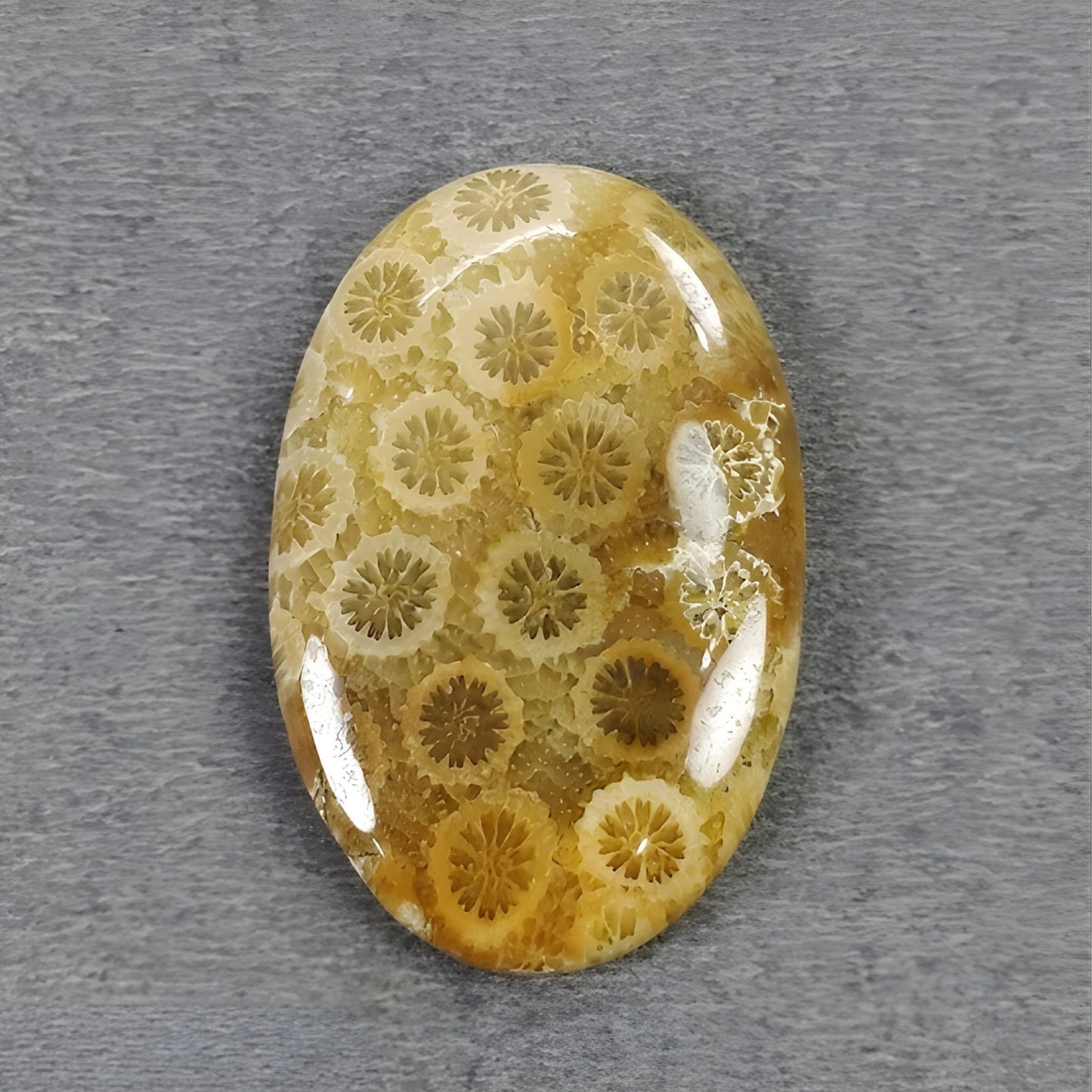 未処理の天然サンゴ宝石