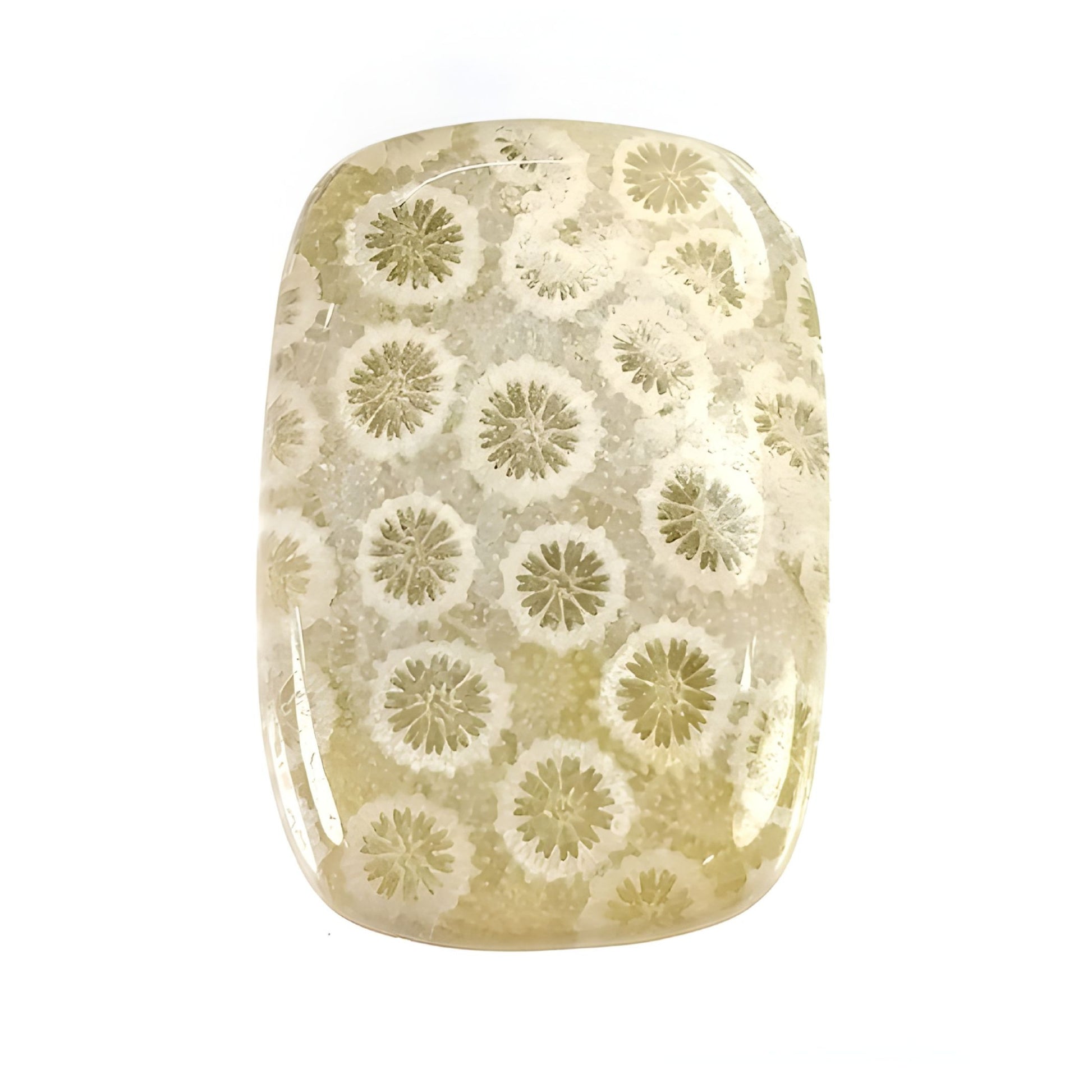 coral cushion shape cabochon