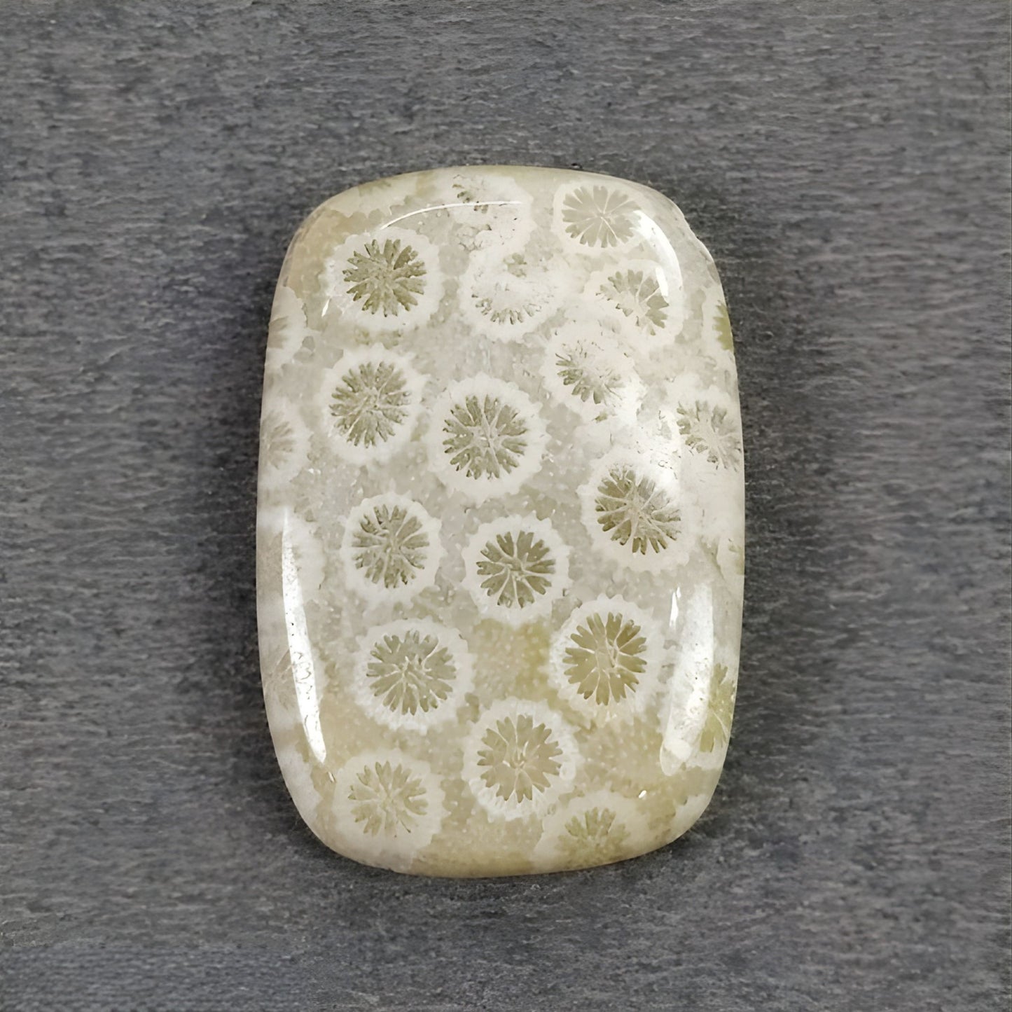 未処理の天然サンゴ宝石