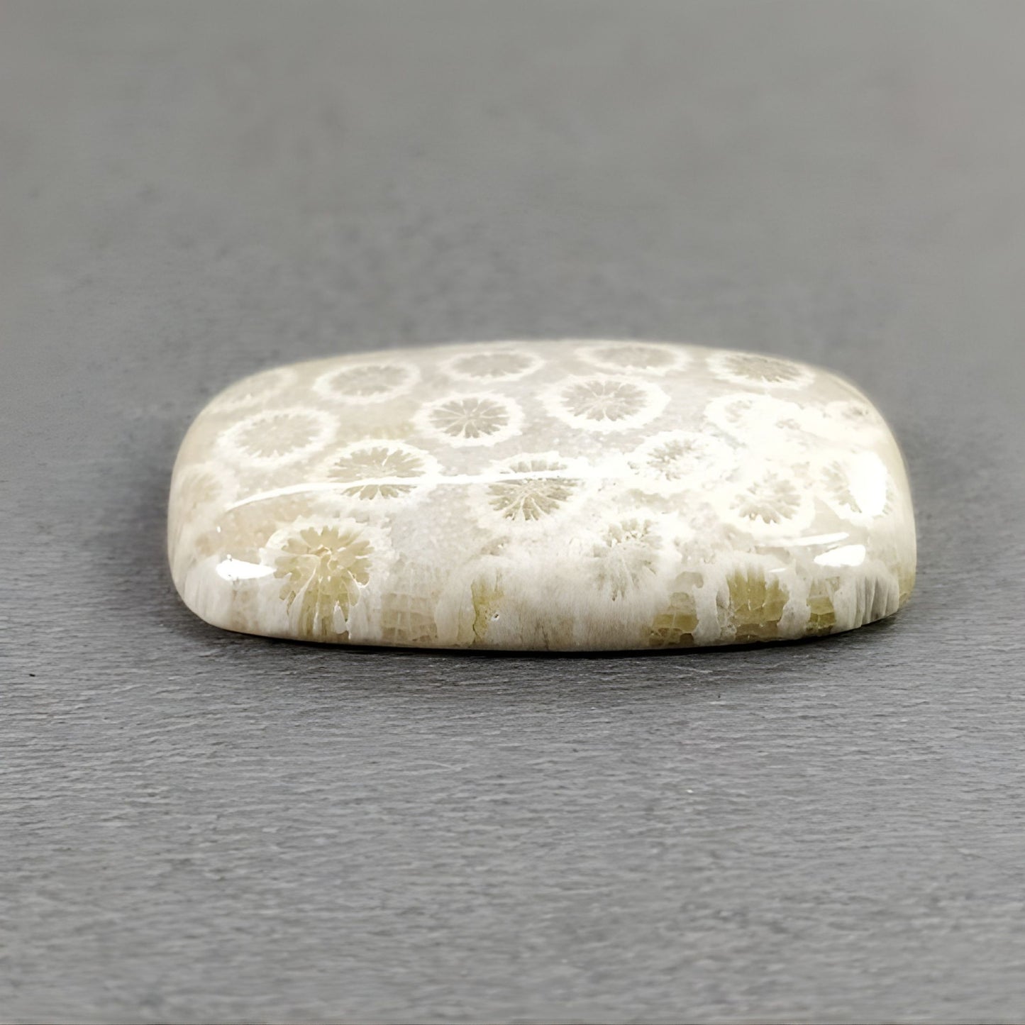 39.30cts Fossil Coral Gemstone Natural Untreated Cabochon Cushion Shape