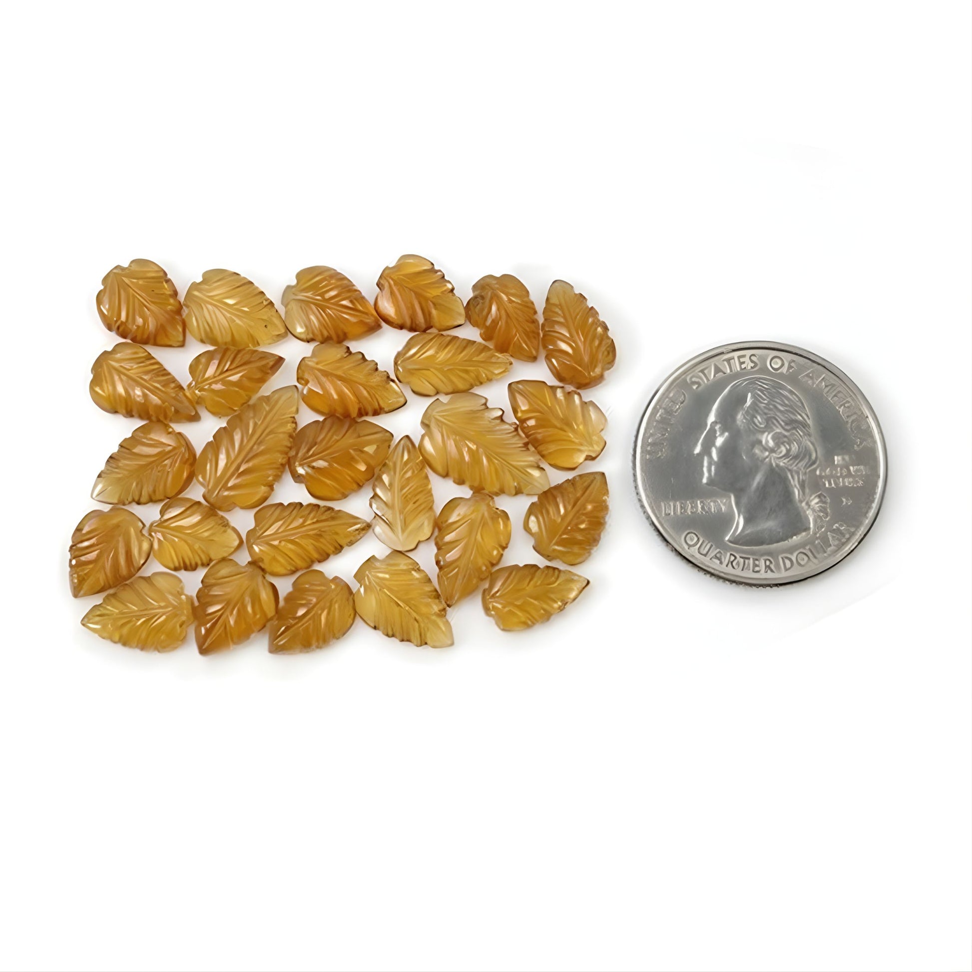 نحت أوراق الهيسونيت