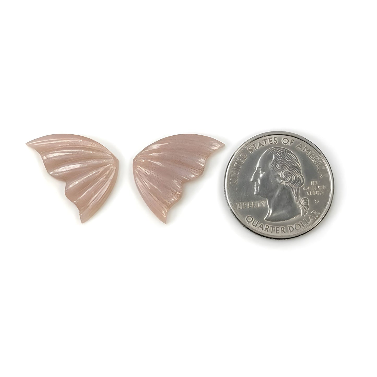 Papillon en pierre de lune