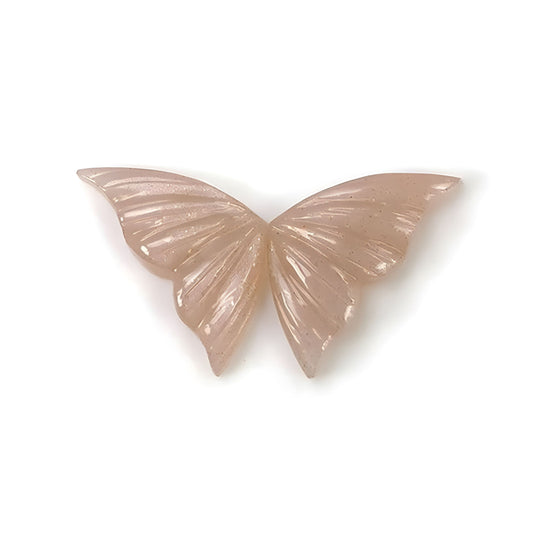 Mondstein-Edelstein-Schmetterling