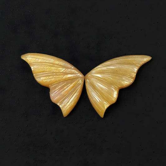 حجر القمر الطبيعي