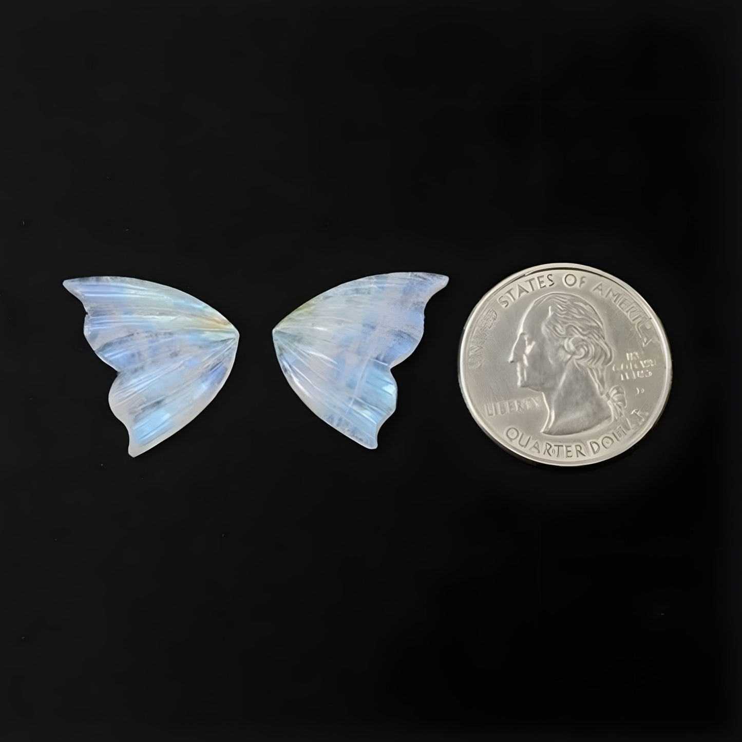 Mariposa de piedra lunar arcoíris