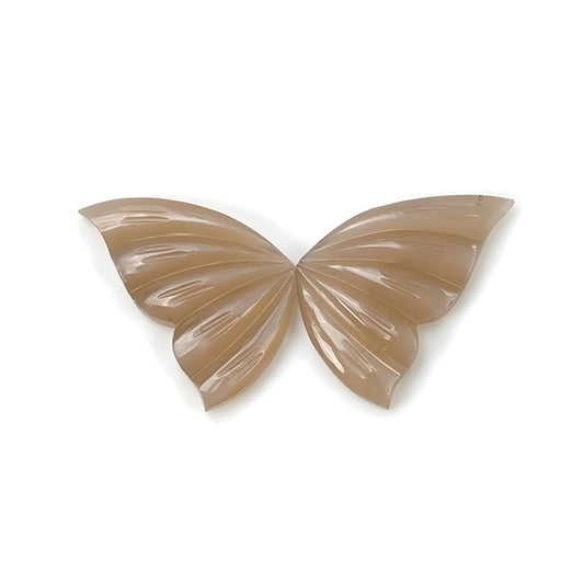 moonstone butterfly shape carving