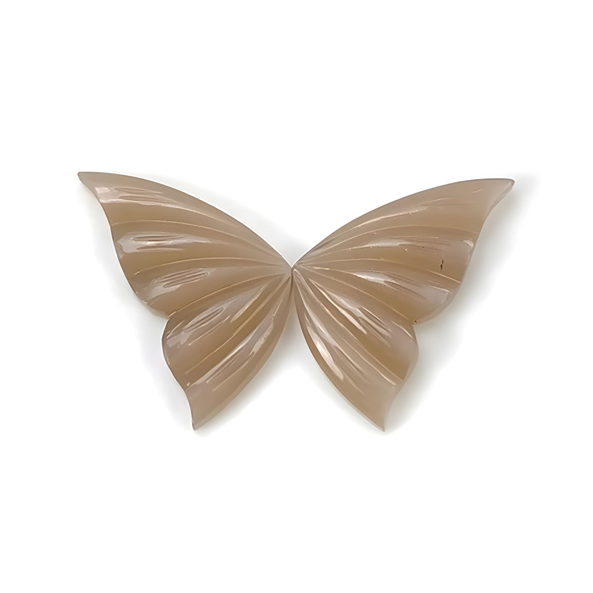 moonstone butterfly shape carving