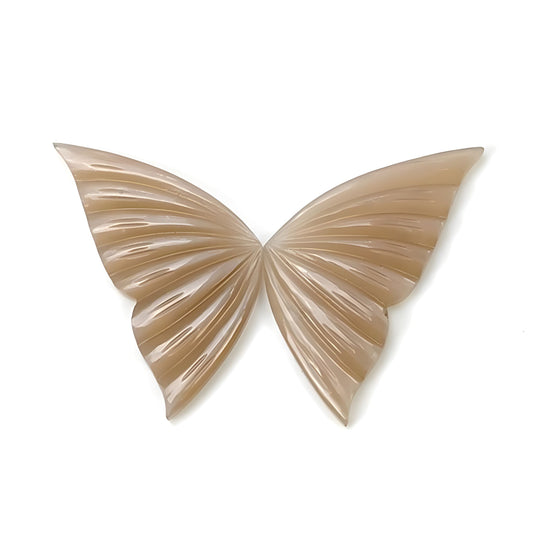 moonstone butterfly shape carving