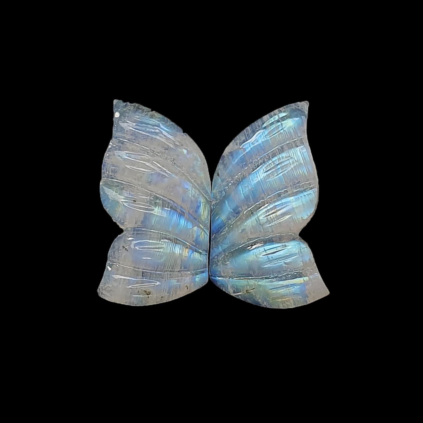 Rainbow Moonstone Gemstone Carving: 16.00cts Natural Untreated Moonstone & Golden Sapphire Hand Carved Butterfly, Oval Cut 20*11mm 3pcs Set