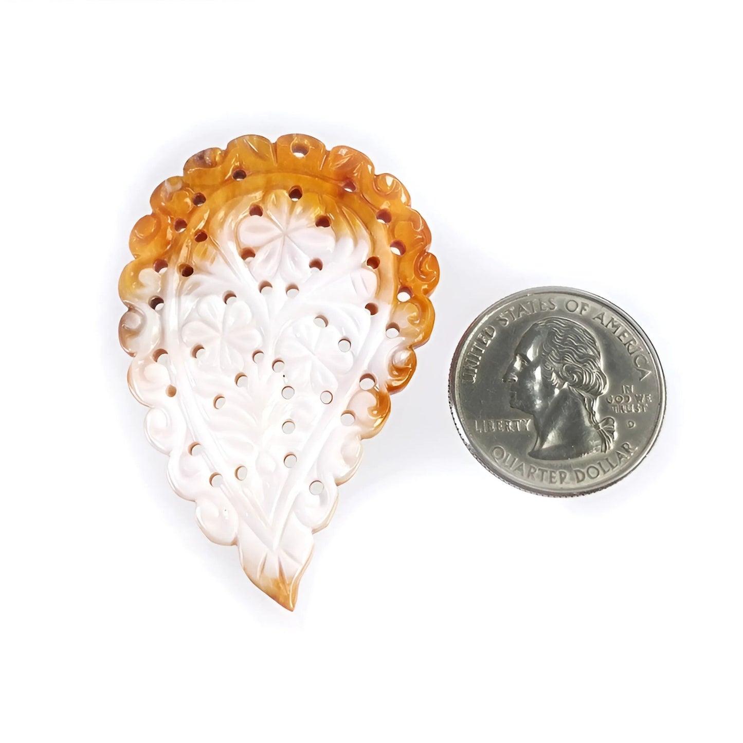 真珠貝の葉の彫刻