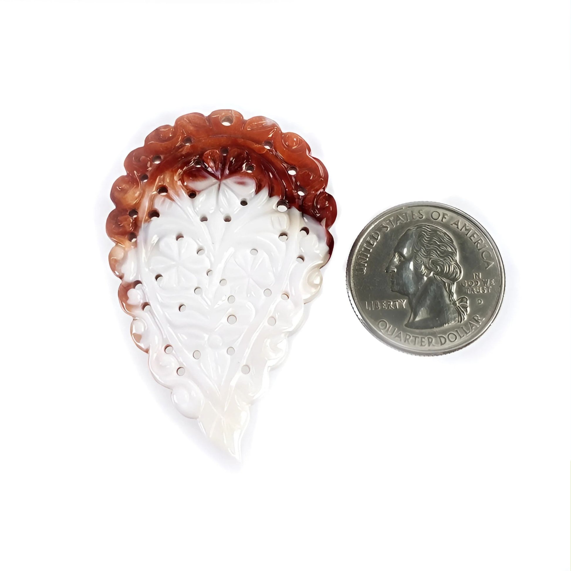 真珠貝の葉の彫刻