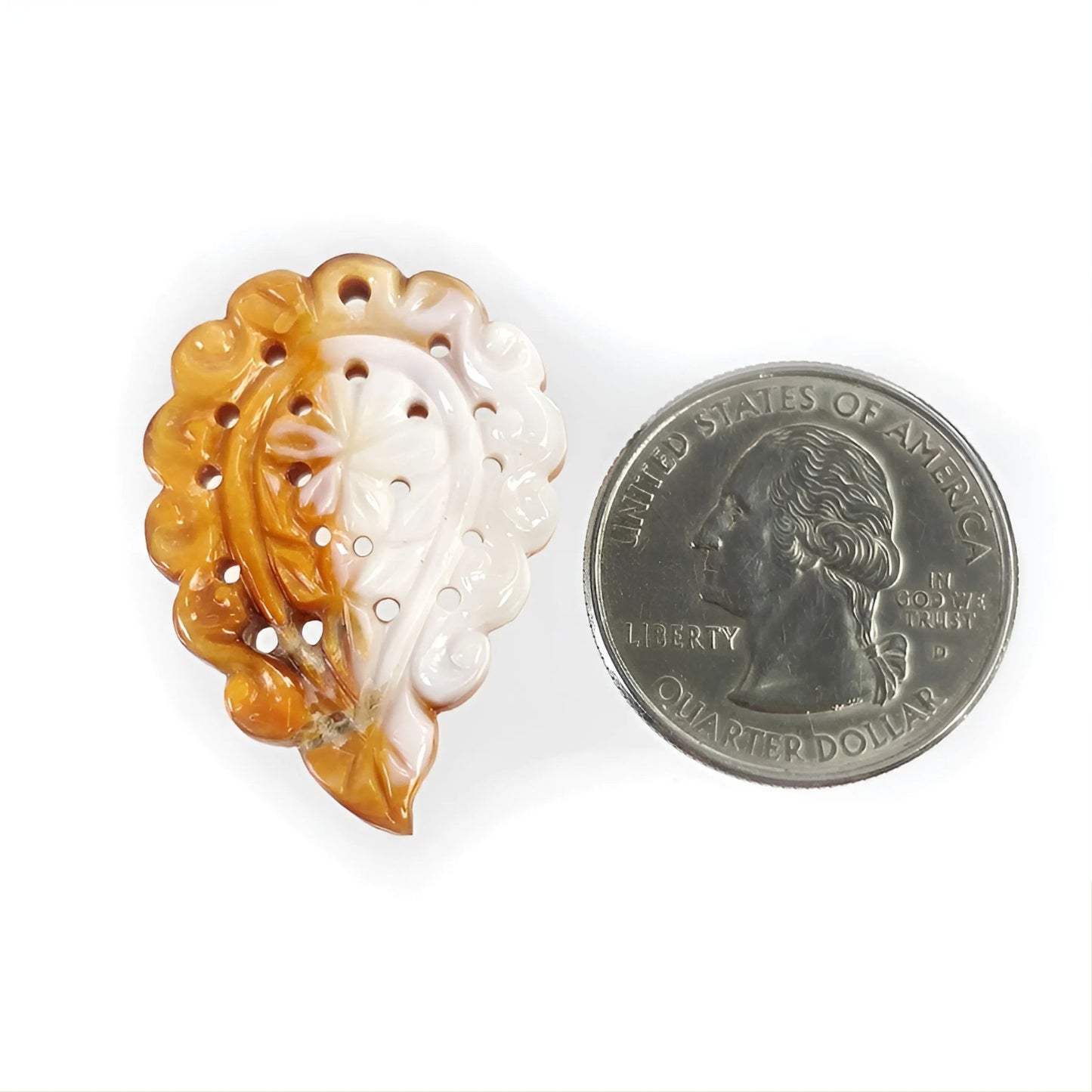 真珠貝の葉の彫刻