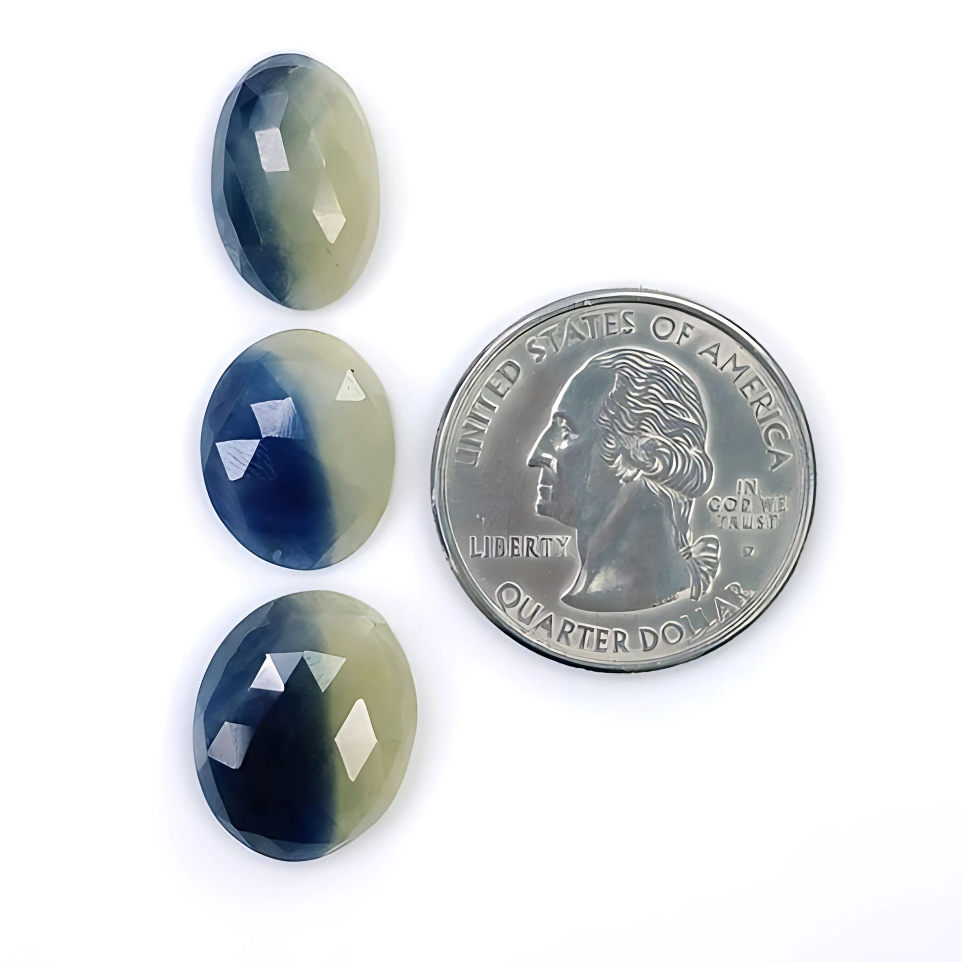 Multi Sapphire Rose Cut Slices